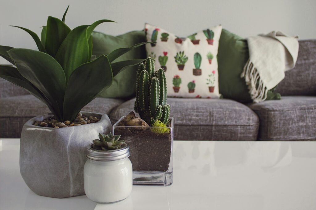 Modern sofa with decorative plant in cosy living room – affordable home decor ideas UK 2025